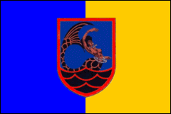 Cotonou's Flag