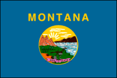 MT's Flag