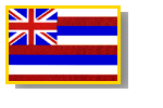 HI's Flag