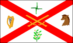 Kildare's Flag