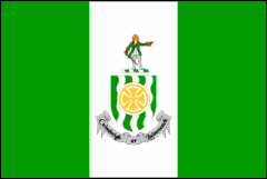 Limerick's Flag