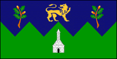 Wicklow's Flag